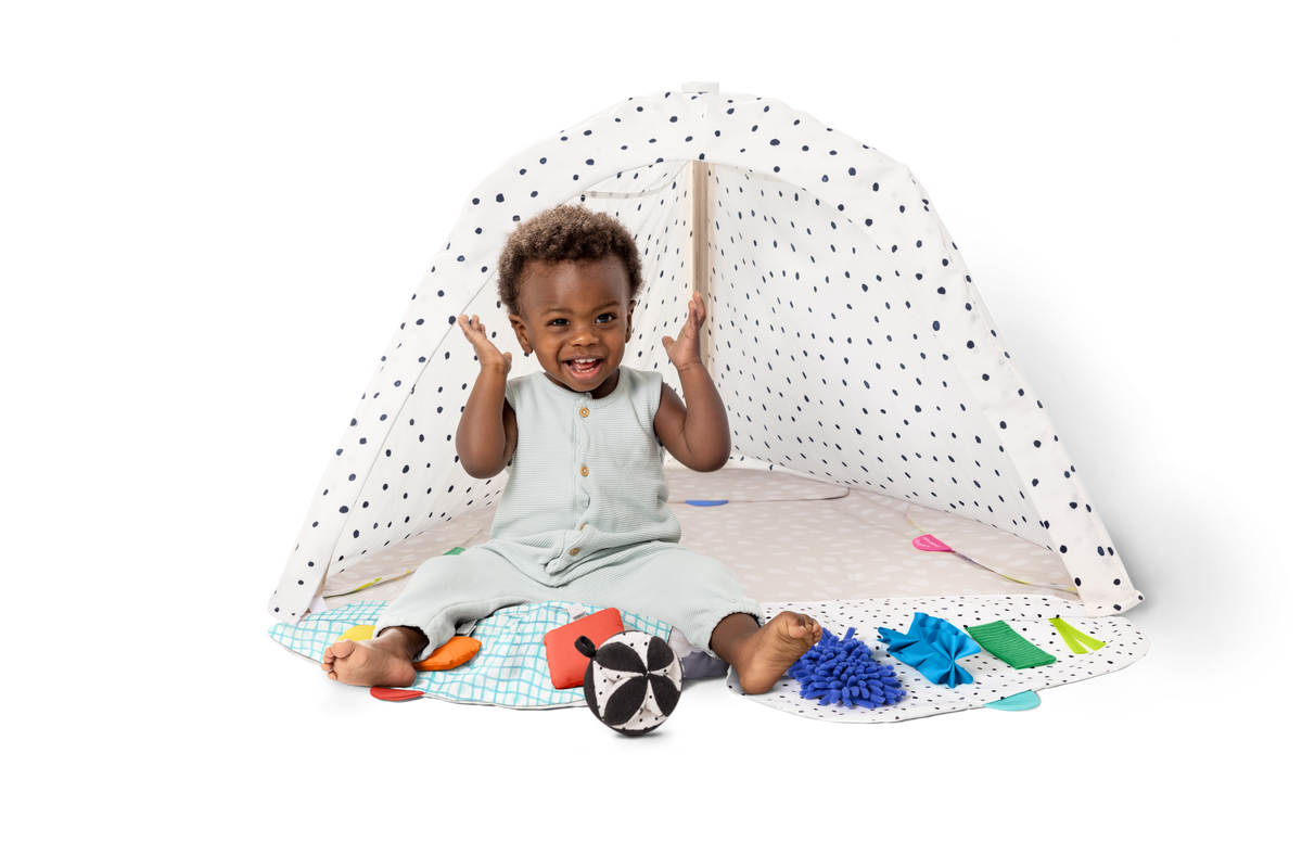 The Play Gym