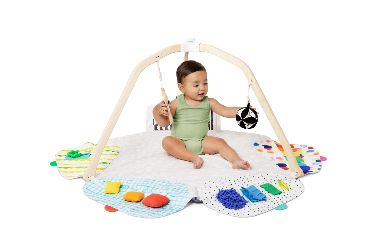 The Play Gym