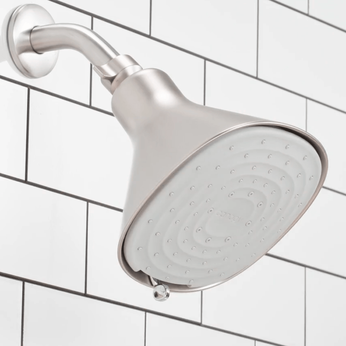 Filtered Showerhead