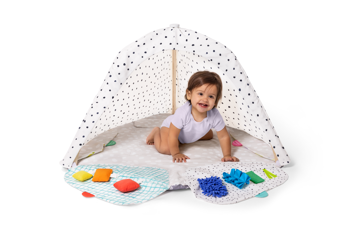 The Play Gym