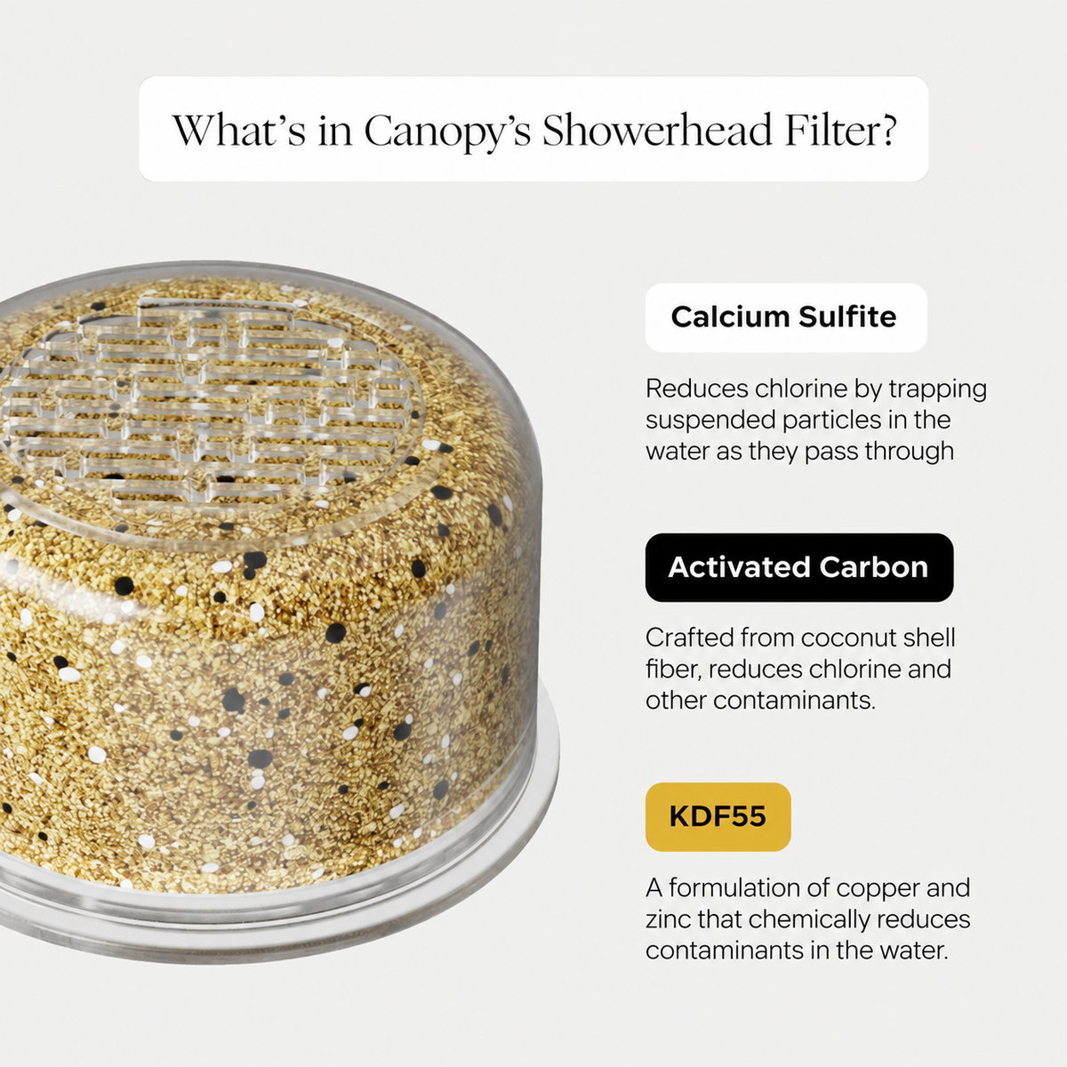 Filtered Showerhead