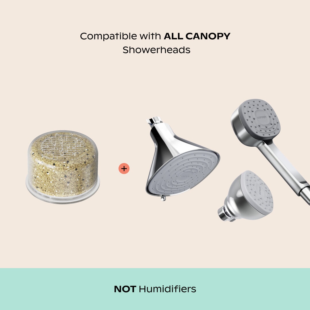 Showerhead Filter