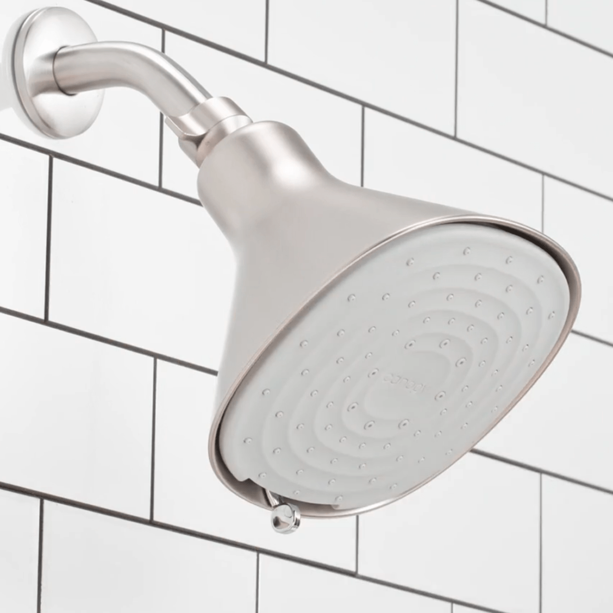 Filtered Showerhead